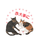 うちの子スタンプ☆ゆうこさんfamily☆（個別スタンプ：32）