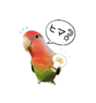 f@stamp（個別スタンプ：1）