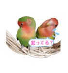 f@stamp（個別スタンプ：3）