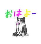 いつもいつでも 8（個別スタンプ：2）