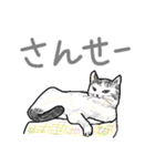 いつもいつでも 8（個別スタンプ：5）
