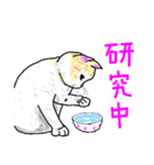いつもいつでも 8（個別スタンプ：6）