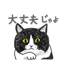 いつもいつでも 8（個別スタンプ：7）