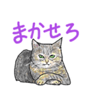 いつもいつでも 8（個別スタンプ：9）