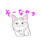 いつもいつでも 8（個別スタンプ：10）