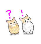 いつもいつでも 8（個別スタンプ：11）