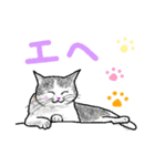 いつもいつでも 8（個別スタンプ：12）