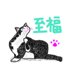 いつもいつでも 8（個別スタンプ：14）
