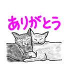 いつもいつでも 8（個別スタンプ：16）