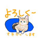 いつもいつでも 8（個別スタンプ：18）