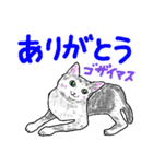 いつもいつでも 8（個別スタンプ：19）