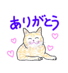 いつもいつでも 8（個別スタンプ：20）
