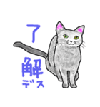 いつもいつでも 8（個別スタンプ：22）