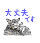 いつもいつでも 8（個別スタンプ：23）