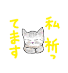 いつもいつでも 8（個別スタンプ：25）