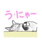 いつもいつでも 8（個別スタンプ：28）