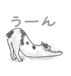 いつもいつでも 8（個別スタンプ：29）