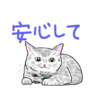いつもいつでも 8（個別スタンプ：31）