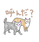 いつもいつでも 8（個別スタンプ：32）