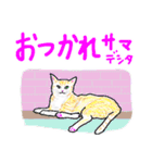 いつもいつでも 8（個別スタンプ：33）