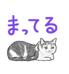 いつもいつでも 8（個別スタンプ：34）