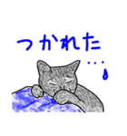 いつもいつでも 8（個別スタンプ：35）