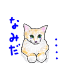 いつもいつでも 8（個別スタンプ：36）