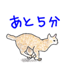 いつもいつでも 8（個別スタンプ：38）