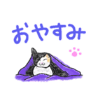 いつもいつでも 8（個別スタンプ：40）
