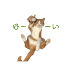 ぼく、そら！2（個別スタンプ：2）
