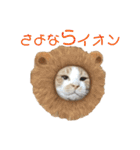 ぼく、そら！2（個別スタンプ：3）