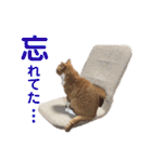 ぼく、そら！2（個別スタンプ：10）