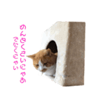 ぼく、そら！2（個別スタンプ：14）