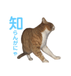 ぼく、そら！2（個別スタンプ：15）
