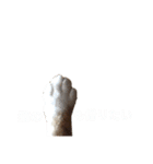 ぼく、そら！2（個別スタンプ：16）