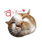 ぼく、そら！2（個別スタンプ：18）