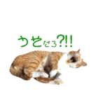 ぼく、そら！2（個別スタンプ：23）