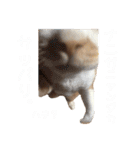 ぼく、そら！2（個別スタンプ：26）