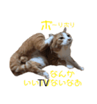 ぼく、そら！2（個別スタンプ：28）