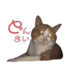 ぼく、そら！2（個別スタンプ：30）