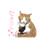 ぼく、そら！2（個別スタンプ：36）
