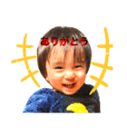 ソランプ（個別スタンプ：5）