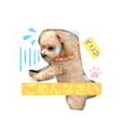 マルプー♡こなつ②（個別スタンプ：1）