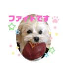 マルプー♡こなつ②（個別スタンプ：5）