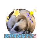 マルプー♡こなつ②（個別スタンプ：18）