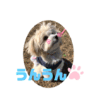 マルプー♡こなつ②（個別スタンプ：23）