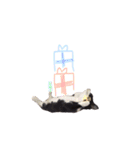ふうたとしゅんた（こねこ）（個別スタンプ：30）