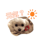 とってもかわいいゆきちゃん（個別スタンプ：6）