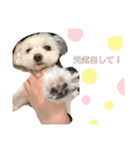 とってもかわいいゆきちゃん（個別スタンプ：8）