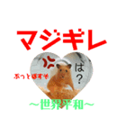 ハムハムきんちゃん（個別スタンプ：8）